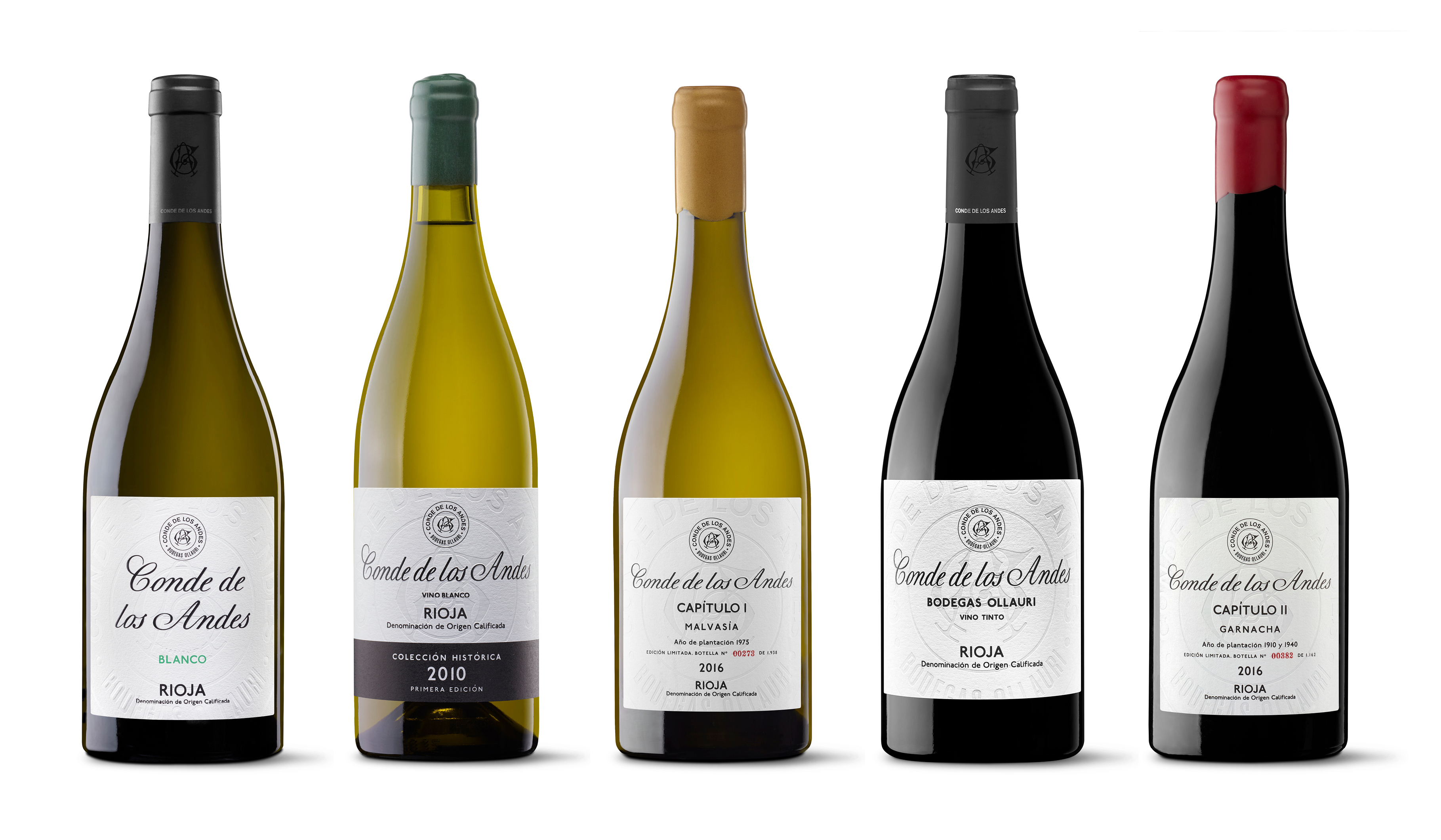 Conde de los Andes: seguimos subiendo