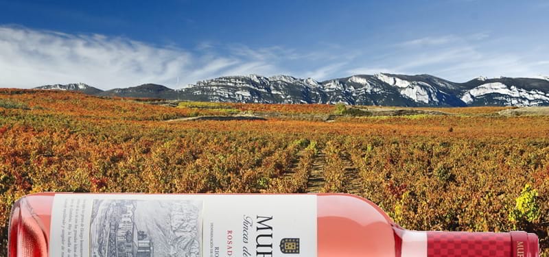 Do you want to know two exciting new releases?