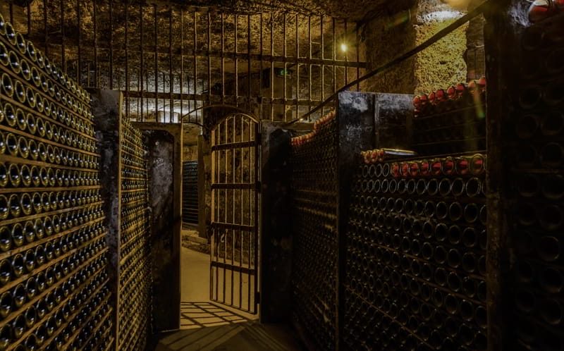 En el frescor de los calados de Ollauri