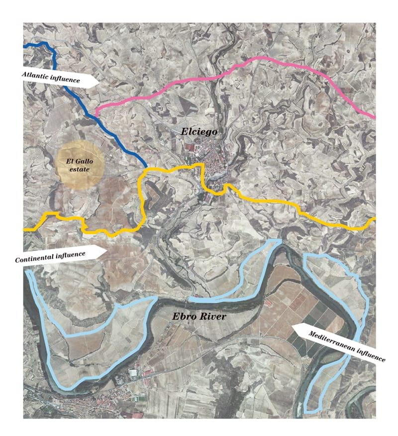 &quot;La nueva clasificación por origen debe contar con una promoción adecuada&quot;