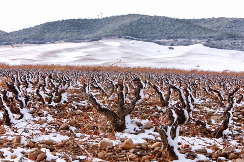 En las laderas de Yerga