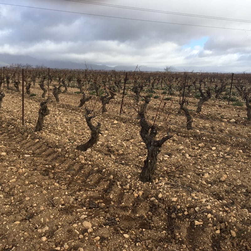 2018: algunas pistas