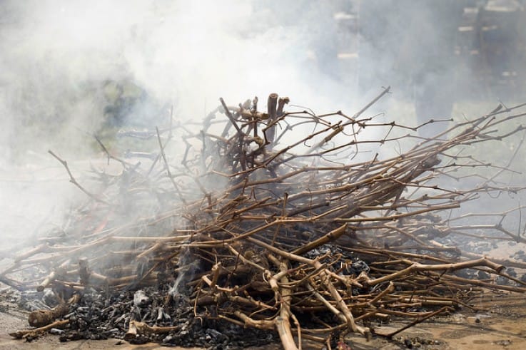 Cocinar con sarmientos