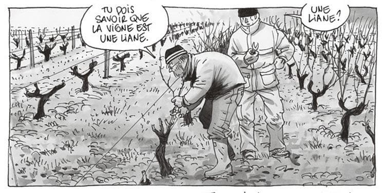 Wine in comic books and TV series