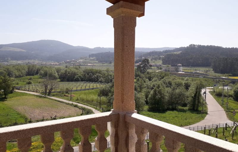 Fresh news from Pazo Cilleiro