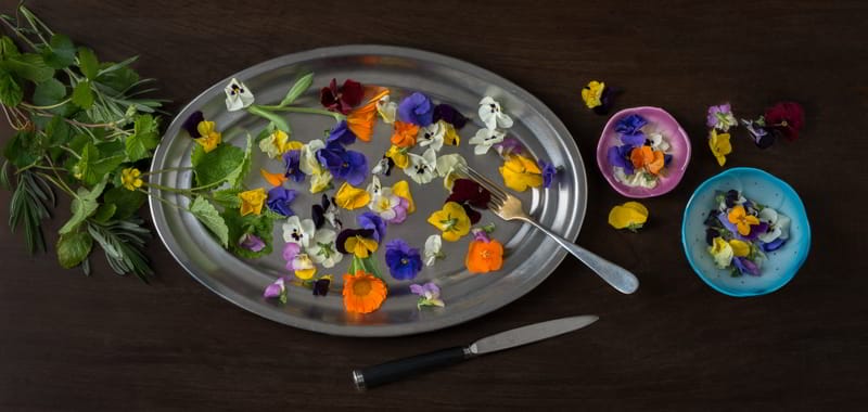 Cocinar con flores, comer con Conde de los Andes