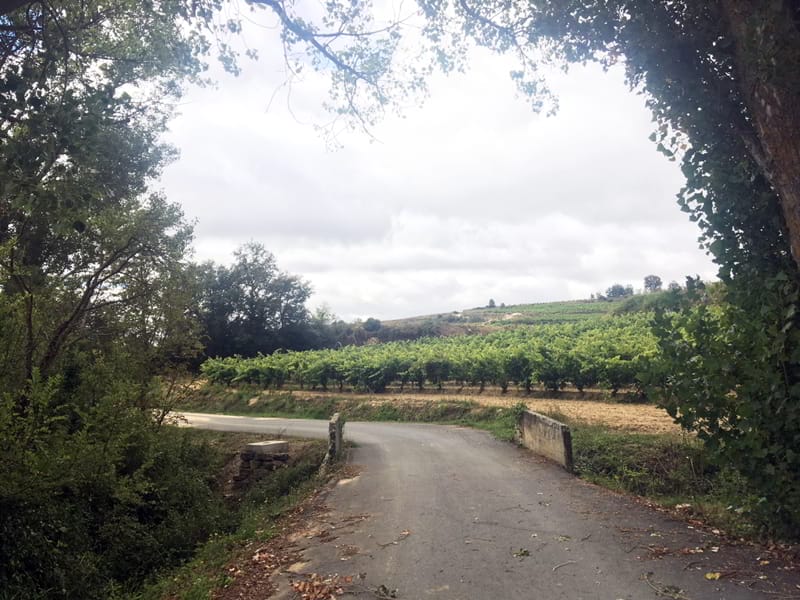 Traversing the Mayor valley