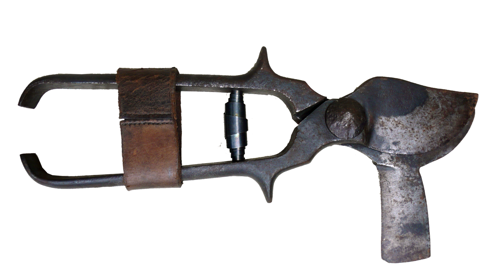 Elciego, pueblo pionero de la poda moderna