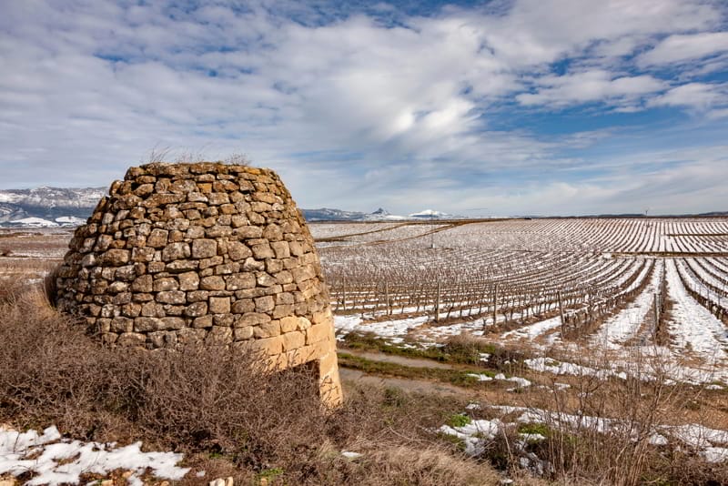 Why did wine succeed in Rioja Alavesa?