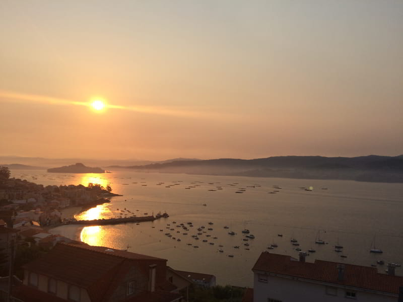 Plenty of freshness in the new Albariño