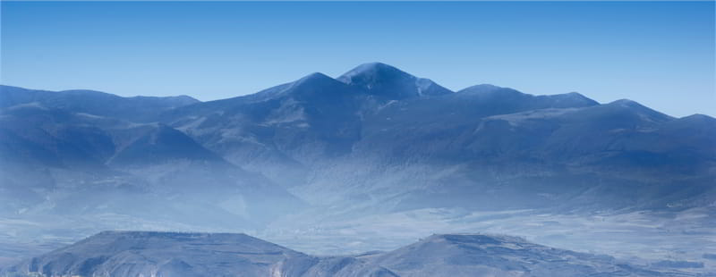 Un cocodrilo en el paisaje