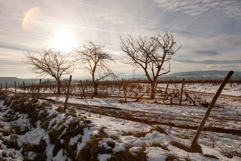 Tras la Navidad, buenos paseos
