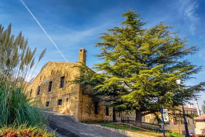 Hoy ya es posible viajar al siglo XVI