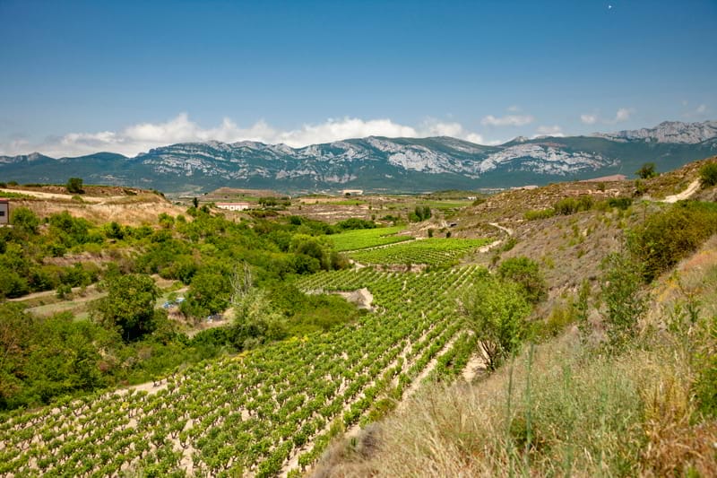 Paseo triangular alrededor de Elciego