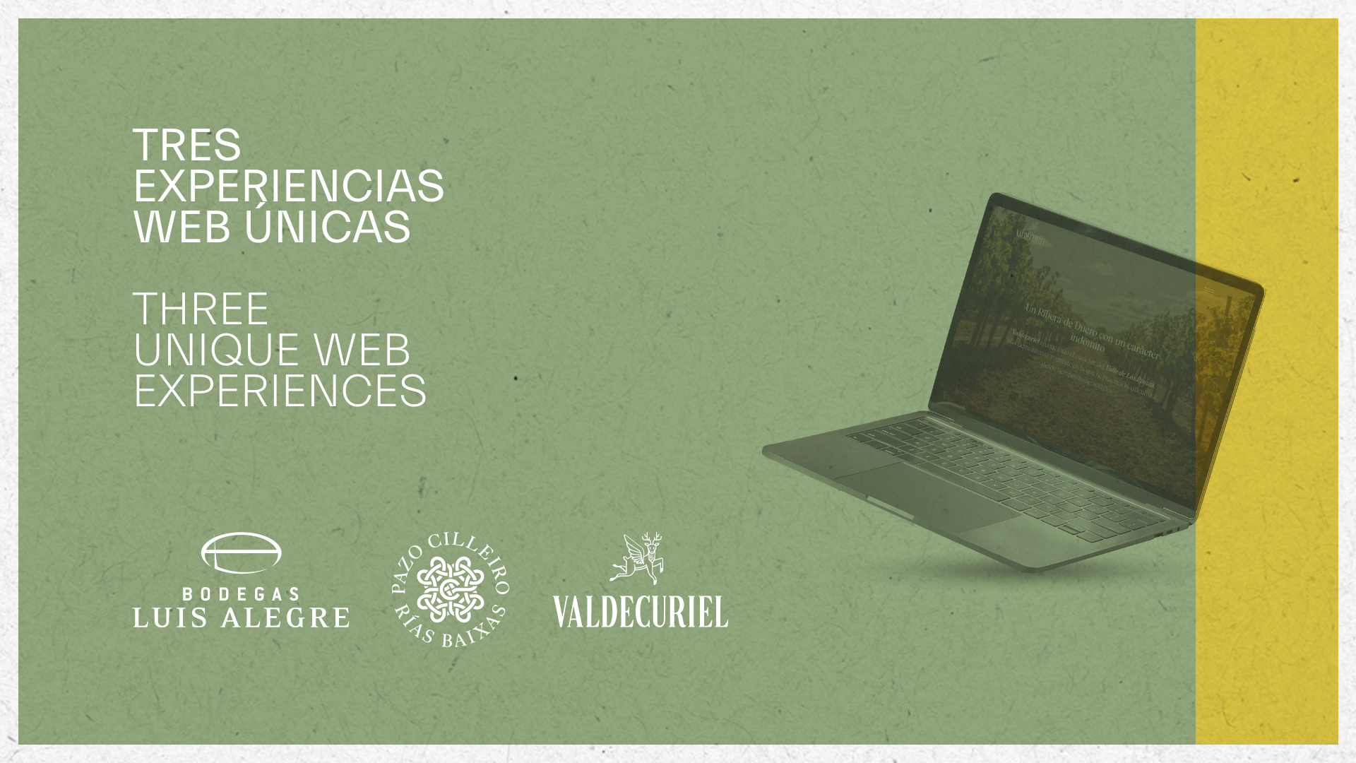 Nuevas webs Muriel Wines
