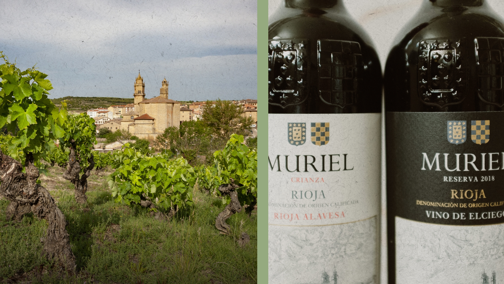 Muriel Crianza y Muriel Reserva