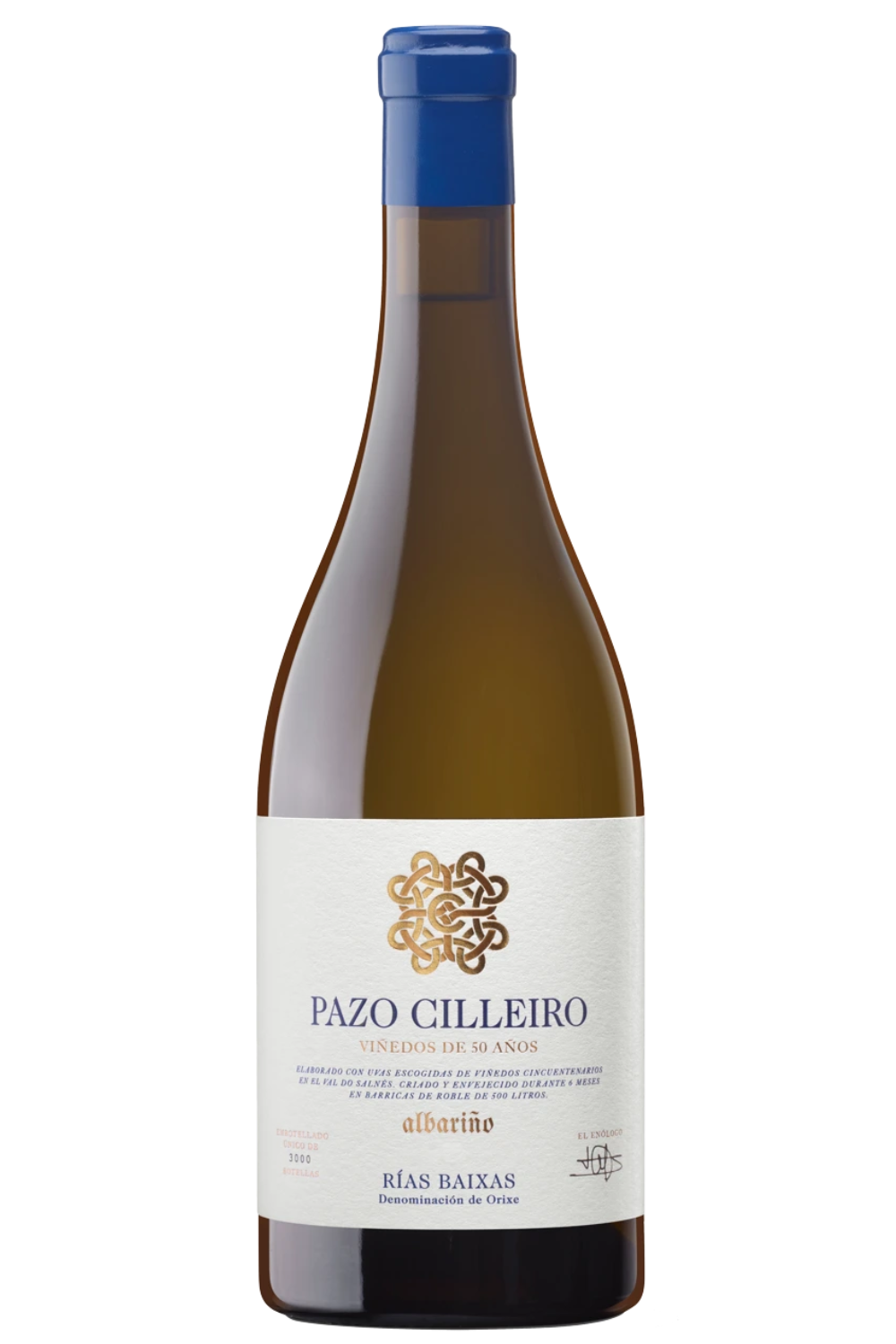 Pazo_cincuentenario