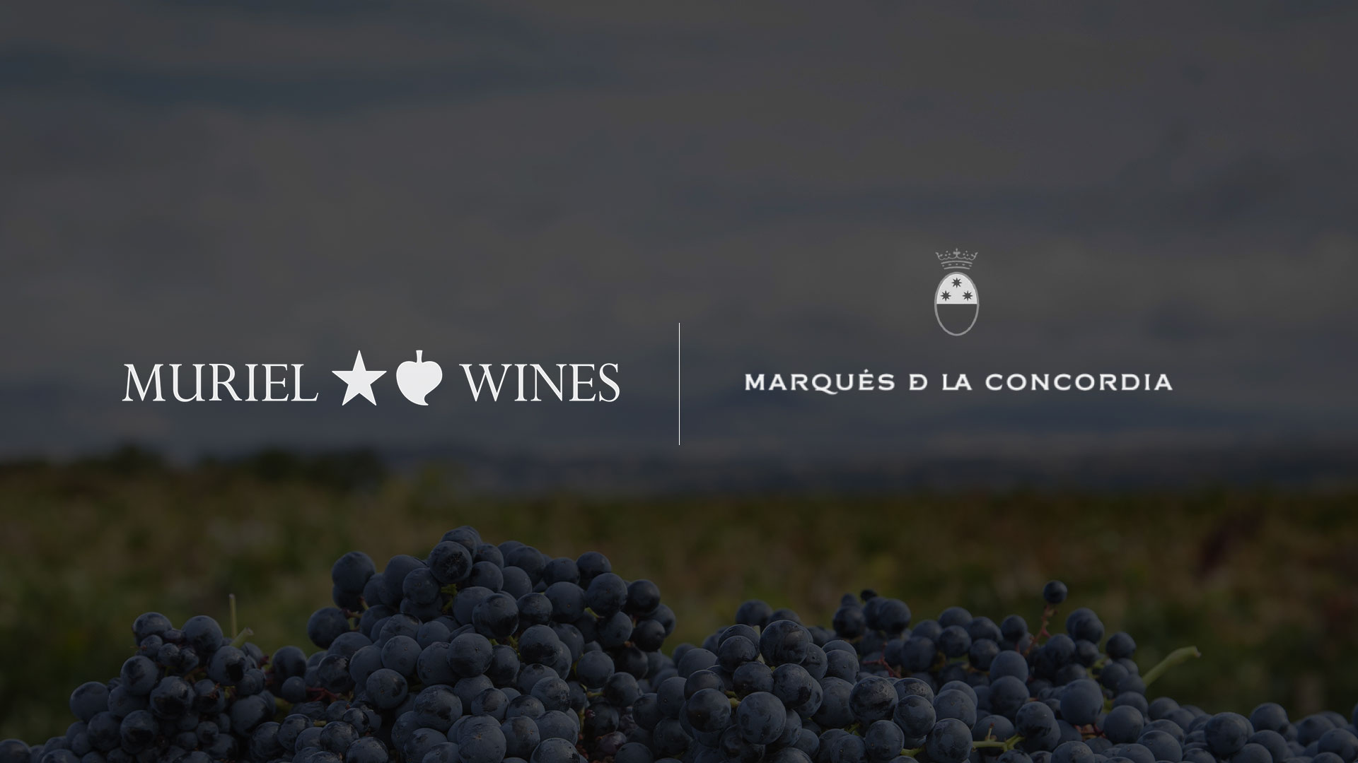 MURIEL WINES - MARQUÉS DE LA CONCORDIA