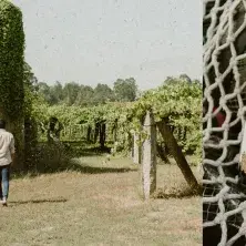 Tesoros del verano con Pazo Cilleiro