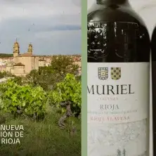categorización vinos
