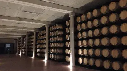 ¿Qué ocurre en la bodega en invierno?