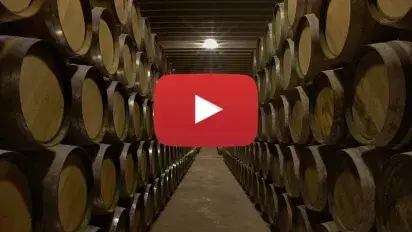 Muriel Wines' video channel