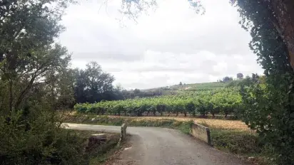 Recorriendo el valle del Mayor 
