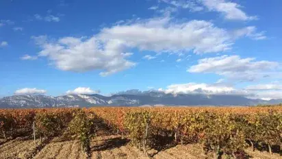 Muriel Wines lanza Tienda Rioja