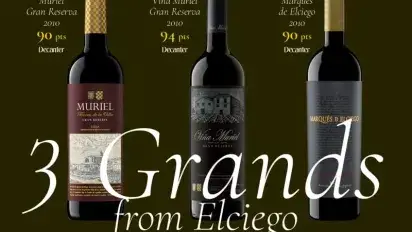 Market and wine critics celebrate our brands