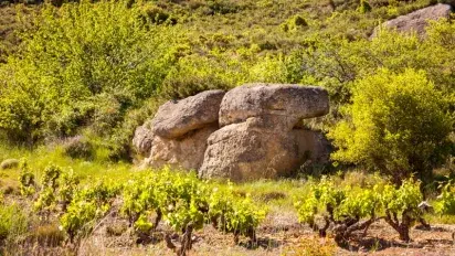 Nuestras Viñas de Briñas"