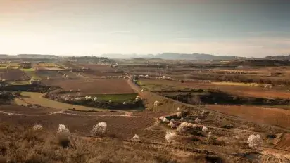 El paisaje de los almendros en flor