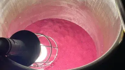 El primer vino tinto de 2020