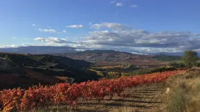 Una tarde de finales de octubre...