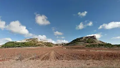 Valdecuriel: our new bodega in Ribera del Duero