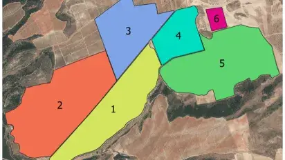 Understanding the soils of Finca Montalvillo