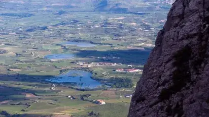 Ponds among vineyards, where the birds come to rest