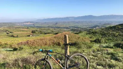 En bici entre el Ebro y los viñedos