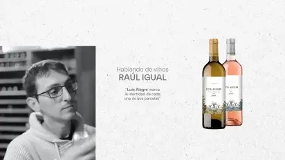 Luis Alegre - Raúl Igual