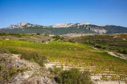 La Reñana vista hacia el norte sierra