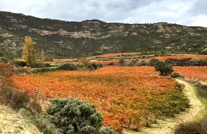 Conde en otoño 2