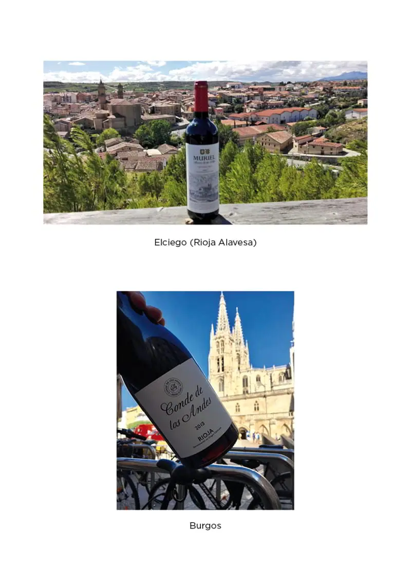 Nuestros vinos por todo el mundo