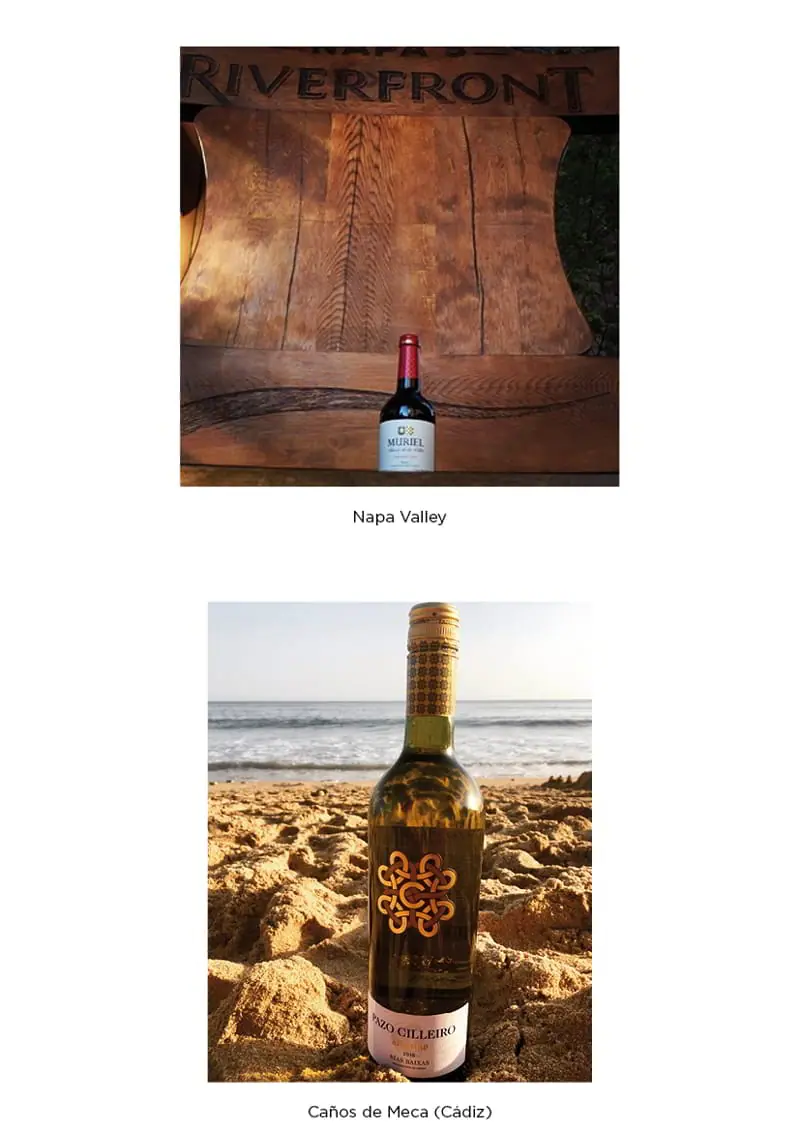 Nuestros vinos por todo el mundo