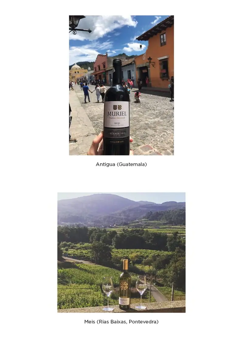Nuestros vinos por todo el mundo