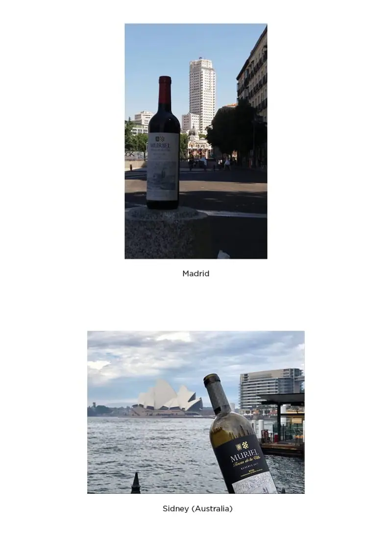 Nuestros vinos por todo el mundo