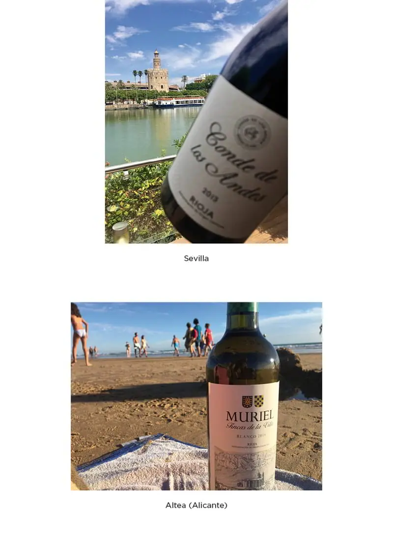 Nuestros vinos por todo el mundo