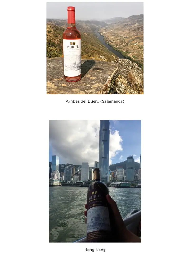 Nuestros vinos por todo el mundo
