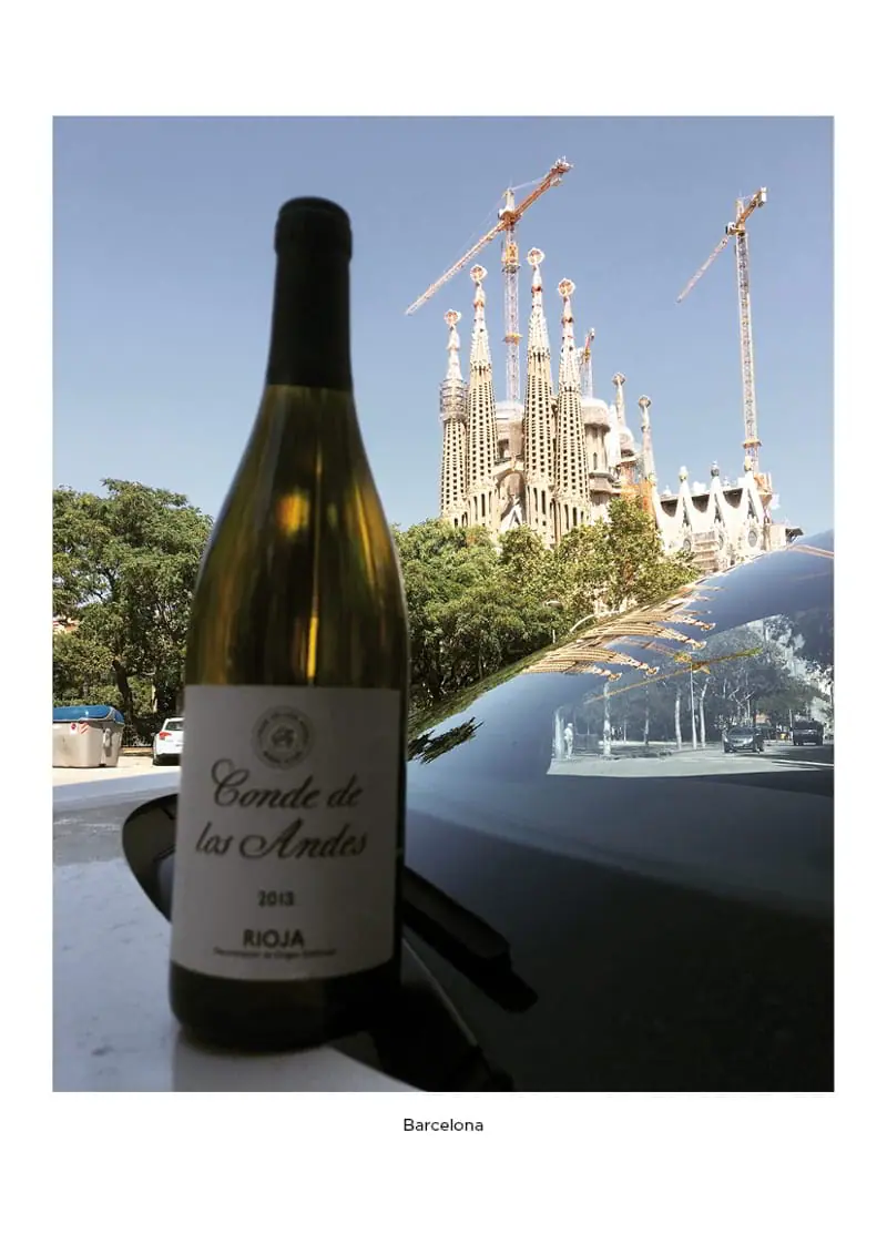 Nuestros vinos por todo el mundo