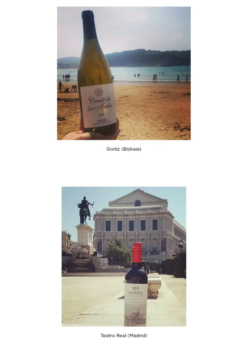Nuestros vinos por todo el mundo