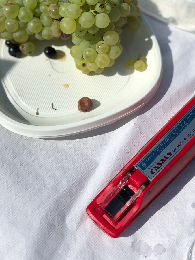 Before harvesting, we sample