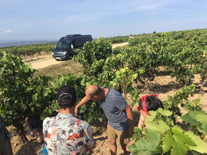 Before harvesting, we sample